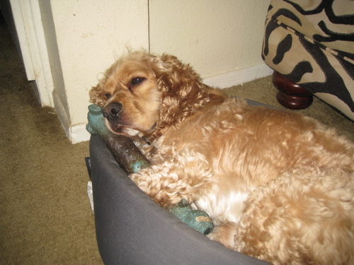 e177erson's profile picture. 