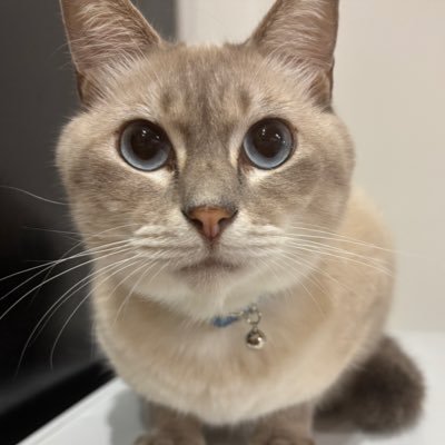 さーさんのプロフィール画像