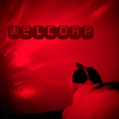 WelCorp_Music's profile picture. I make noise.