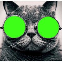 Farid🟥🟩 (@javadovfarid) 's Twitter Profile