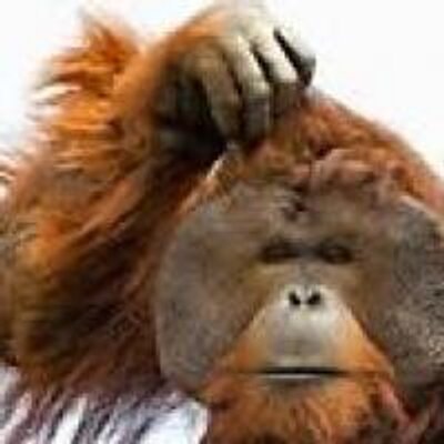 blak3mill3r Twitter Profile Image