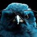 Ali Rady (@bigboss540) Twitter profile photo Ali Rady (@bigboss540) Twitter profile photo