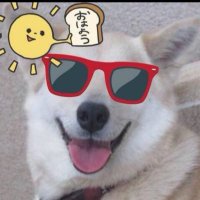 あっつ〜@ドンだー!世界一決定戦2021外伝優勝🏆 (@tumetainabe888) 's Twitter Profile