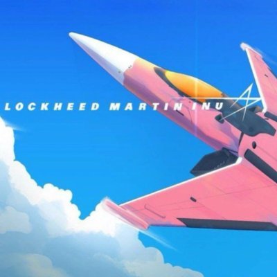 LockheedMartinInu Profile