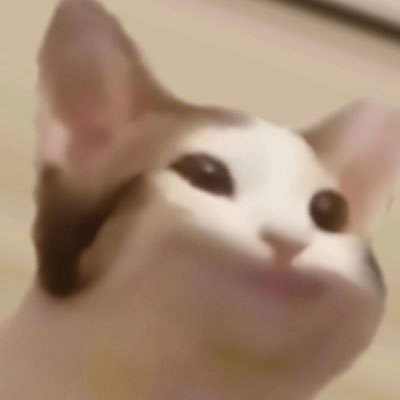 satou_azu's profile picture. ↓自鯖 #satou_azuの実績