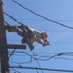 Tramping lineman (@tlineman29) Twitter profile photo Tramping lineman (@tlineman29) Twitter profile photo