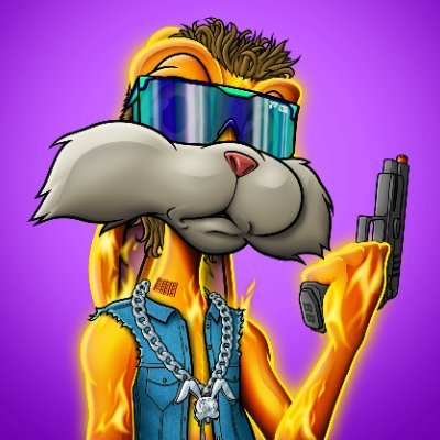 bama.algo Profile