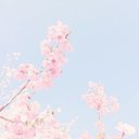 Imelda rojas - @rojas_imel48371 - Twitter