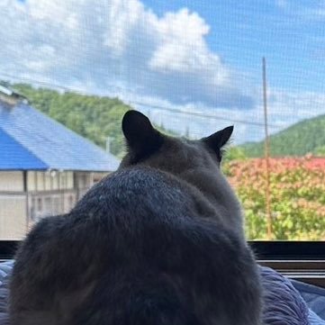 G1zVa's profile picture. 格闘ゲームはじめました from 2024/11/23 #モダン #ジュリ