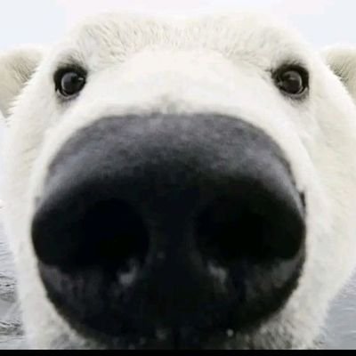 soooolzin's profile picture. Biologicamente falando, nem tudo é verdade aqui