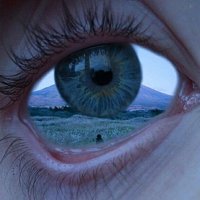 Bodyisbone (@extincionpls) 's Twitter Profile