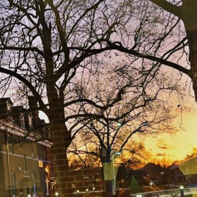 berrycuuttiee's profile picture. 