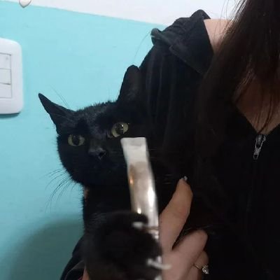 Euge_medin's profile picture. 18|

El tiempo nos trajo acá, condenados a fracasar