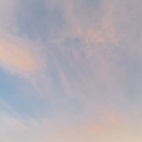 theonlycha✨ (@fthasya_) 's Twitter Profile Photo theonlycha✨ (@fthasya_) 's Twitter Profile Photo