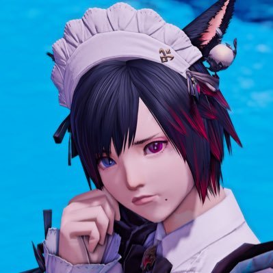 Luna🐈‍⬛ (@FF14__lxn) / Posts / X