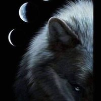 Sancak Kara (@sancak3375) 's Twitter Profile