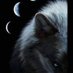 Sancak Kara (@sancak3375) Twitter profile photo