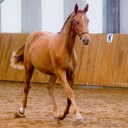 Peter Radford - @radfordp - Twitter