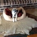 Robin Henley - @henley_robin - Twitter