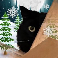 le chat empoté (@chlooochlooo_) 's Twitter Profile Photo le chat empoté (@chlooochlooo_) 's Twitter Profile Photo