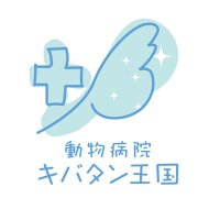 動物病院 キバタン王国 (@kibatanoukoku) 's Twitter Profile Photo 動物病院 キバタン王国 (@kibatanoukoku) 's Twitter Profile Photo