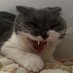 โจPresiden Parti Sampai Pagi โขโจ (@jules12anne) Twitter profile photo โจPresiden Parti Sampai Pagi โขโจ (@jules12anne) Twitter profile photo