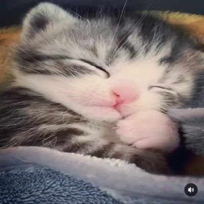 itz_Divyansh__'s profile picture. 
