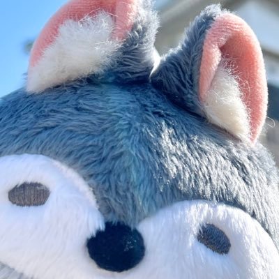 狐鵝鵝🦊🐧さんのプロフィール画像