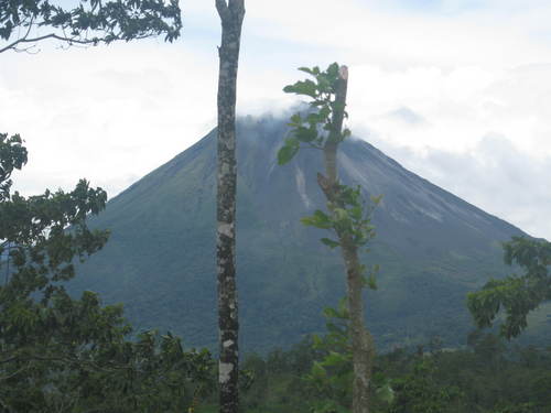 bernal arroyo