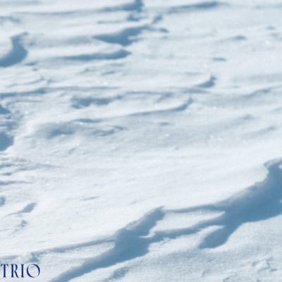 北海道札幌を中心に道内各地で企画~運営を行います ■君島大空トリオ 北海道ツアー 25年2月22日(土)帯広REST 25年2月23日(日・祝)札幌モエレ沼公園 ガラスのピラミッド