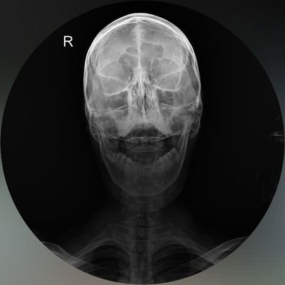 Bimzz_WxLoxz's profile picture. 