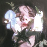 西西不睡 (@sissiforher) 's Twitter Profile Photo 西西不睡 (@sissiforher) 's Twitter Profile Photo