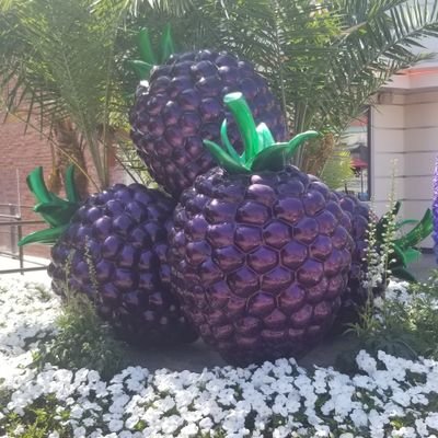 JayJay1061732's profile picture. 