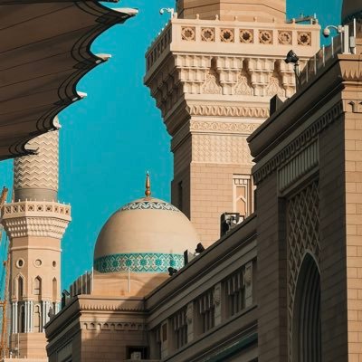 NourFarang7's profile picture. 🍉