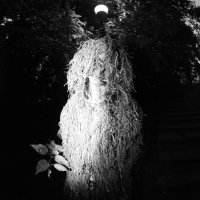 BHILLY (@theforealgoat) 's Twitter Profile