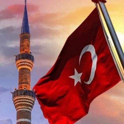 kizileelmaa3's profile picture. 