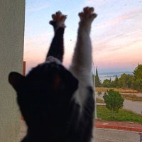 eliptik paraboloid (@pikniktp10) 's Twitter Profile
