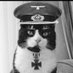 PatternRecognizer1488 (@ns_american1776) Twitter profile photo PatternRecognizer1488 (@ns_american1776) Twitter profile photo