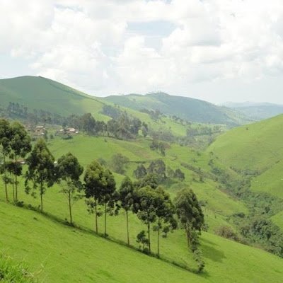 Gato7284Gato's profile picture. Analyses et éclairages sur le Nord-Kivu. Paix, vérité et non-violence active évangélique au cœur de notre ligne éditoriale.