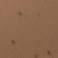 gayph (@gayratcomp) 's Twitter Profile