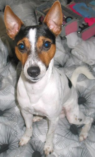 davidwoolfall2's profile picture. lI'm 22 years old, currently in college, I support Liverpool Football Club, I like to have fun and make everyone laugh :-D Giggidy Giggidy Goo.