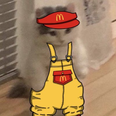 mrdoor665_2's profile picture. memecoin connoisseur, unprofessional degen