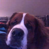 David Keating (@dkeatingcork) 's Twitter Profile