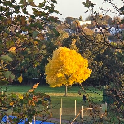 UdenDamian's profile picture. Against all forms of abuse of power, I endeavour to tell you what you shld really think. Looking round Twitter, I think I'm going to fit right in.