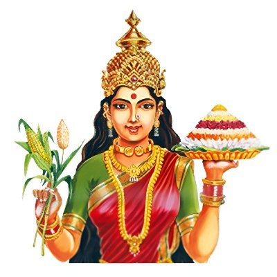 shravan1239's profile picture. నా తెలంగాణ కోటి రతనాల వీణ-దాశరథి🙏