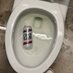 ToiletBeer (@toiletbeer) Twitter profile photo ToiletBeer (@toiletbeer) Twitter profile photo