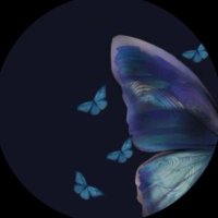 Noura (@iivi1v) 's Twitter Profile