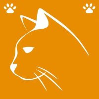 阳光.opcat (@thompsonfarms73) 's Twitter Profile