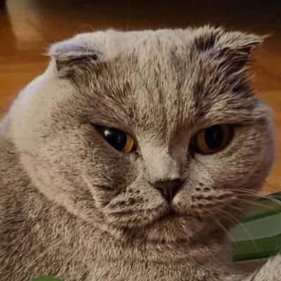 samivassa's profile picture. #3cr (always a learner) 🔧 trading as a dumb a few unclear indices constantly. 🐒

Just remember, it's not a lie if you believe it. -George Costanza