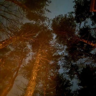 jurrien_kratz's profile picture. 